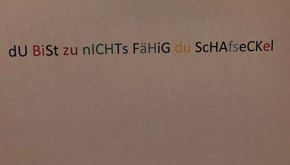 Solche Beleidigungen sind fast alltäglich bei Schaffhauser Politikern. Symbolbild: Radio Munot