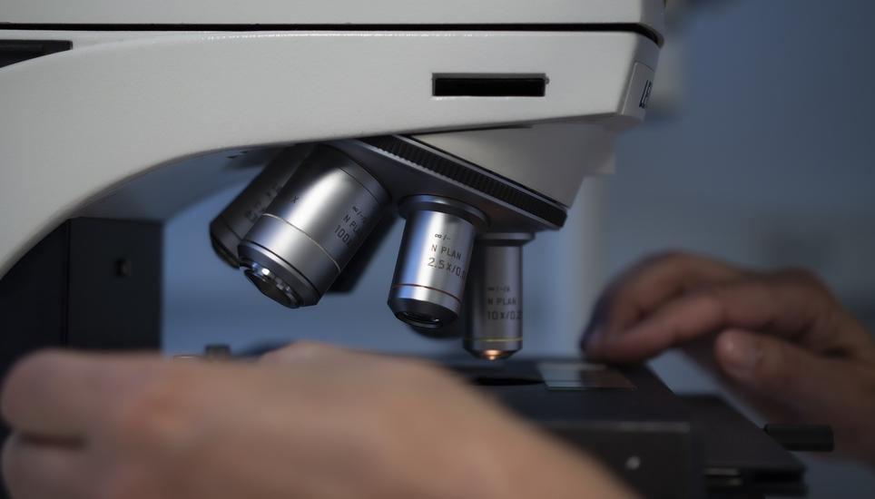 Die BB Biotech AG profitierte 2019 von einem günstigen Aktienumfeld. Symbolbild: Pixabay