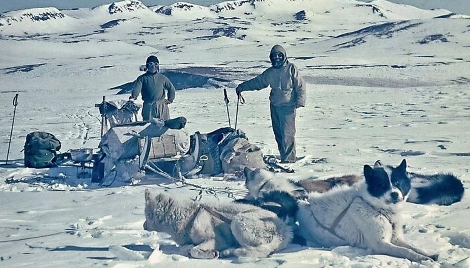 Emil Witzig und ein grönländischer Schlittenführer auf der grossen Frühlings-Schlittenreise. Bild: E. Witzig, 1950