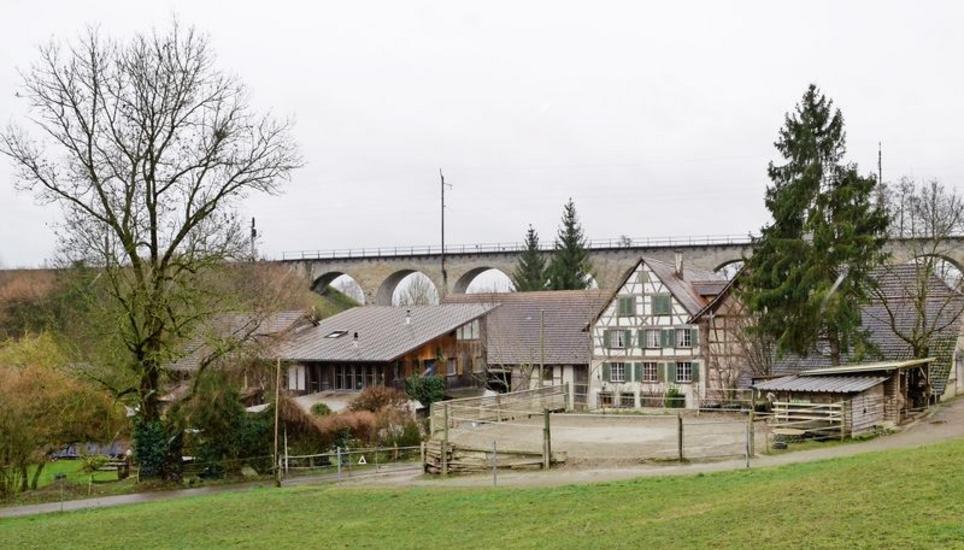 Der Weiler Mittleri Müli in Diessenhofen ist eine von zahlreichen Kleinsiedlungen im Thurgau, die von Umzonung betroffen sein könnten. Bild: Thomas Martens