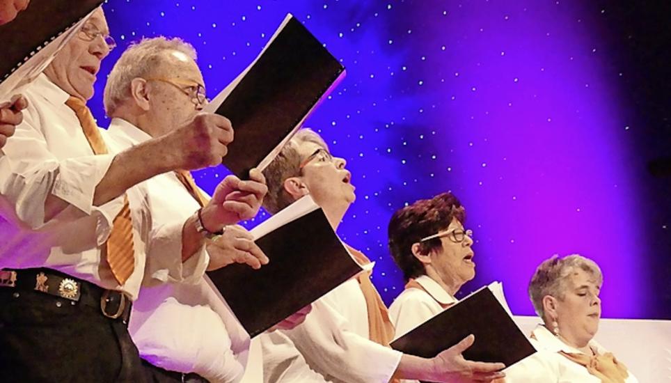 Die «Sängerfründ Täinge» singen, was das Zeug hält. Bild: TK