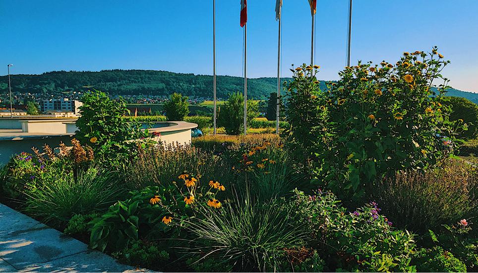 Die Gartenmanufactur AG ist spezialisiert auf jegliche Gartenarbeiten.