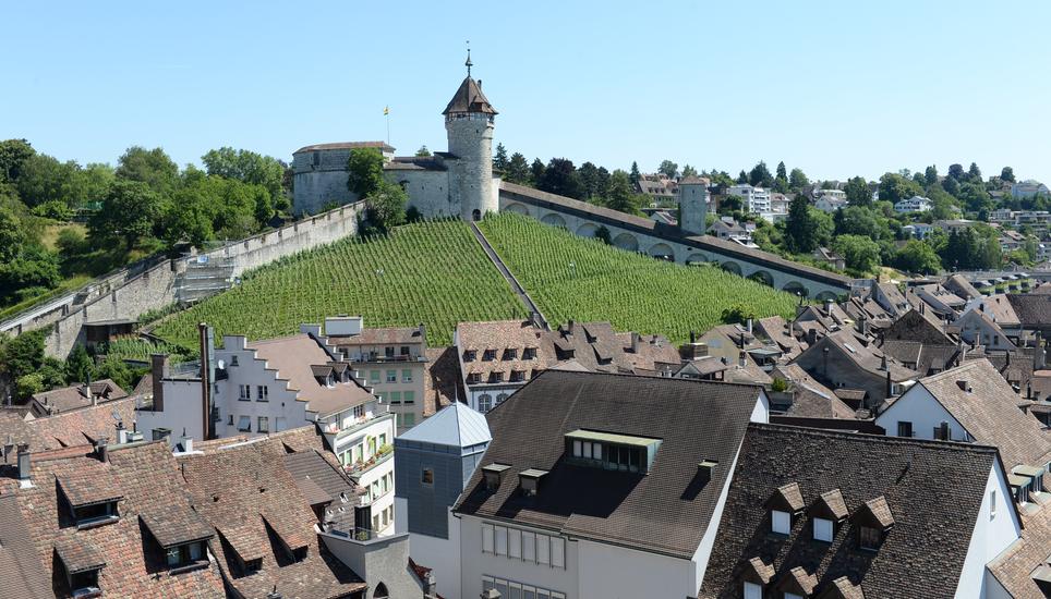 Die Erneuerungswahlen im Kanton Schaffhausen würden im August und September stattfinden.