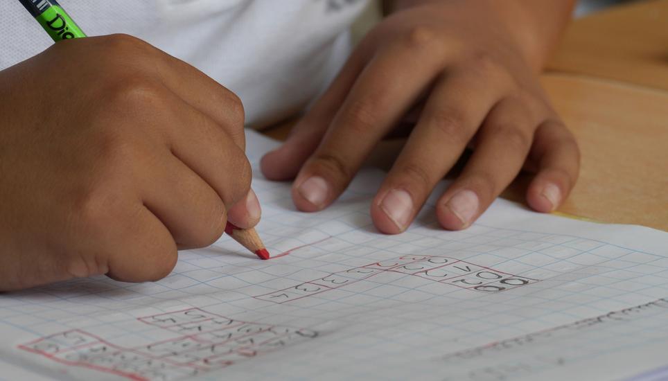 Die Schaffhauser Lehrerinnen und Lehrer wollen für den Sommer 2020 keine Zeugnisse für ihre Schüler. Symbolbild: Pixabay