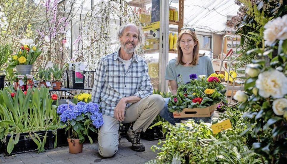 Erwin und Margreet Verhoeven von der Sonnenburg Gärtnerei in Schaffhausen: Die Frühlingsblumen blühen, doch die Laufkundschaft bleibt aktuell aus. Bild: Roberta Fele