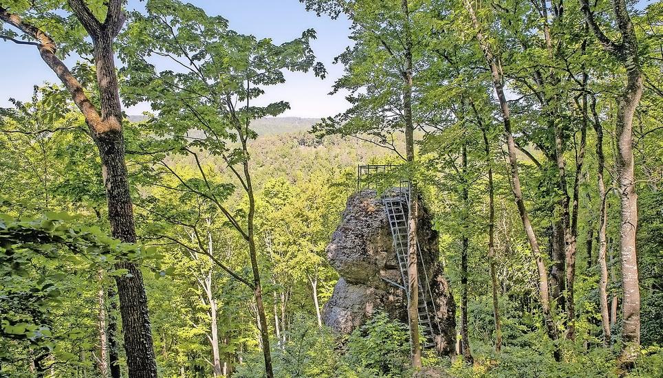 Vom Jakobsfelsen sieht man über das ganze Durachtal.