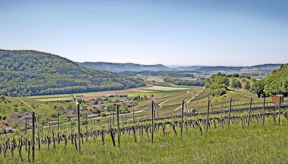 Vom Stuel über den Rebbergen von Osterfingen sieht man auf das Dorf hinunter und hinüber ins deutsche Weisweil.