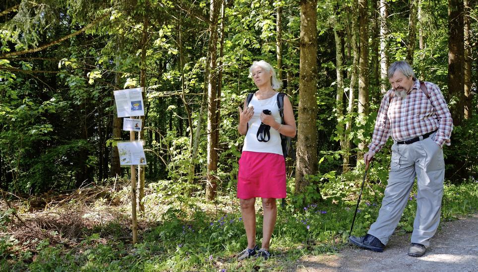 Anja Berezynski und Joachim Finger haben den Auffahrtsrundweg auf dem Randen mitorganisiert und führen die ersten Besucher von Posten zu Posten. Bilder: Fabienne Niederer