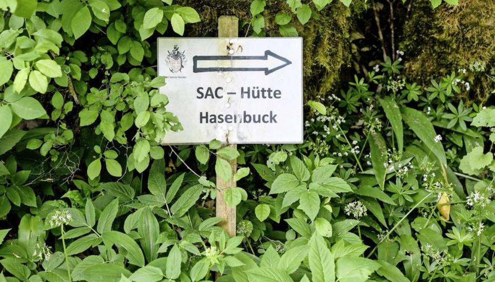 Seit Kurzem sind die Hasenbuckhütte und das Buchberghaus auf dem Randen wieder offen. An den Wochenenden werden die Gäste bewirtet. Damit aber das Schutzkonzept eingehalten werden kann, arbeiten in beiden Hütten mehr Freiwillige. Bild: Melanie Duchene