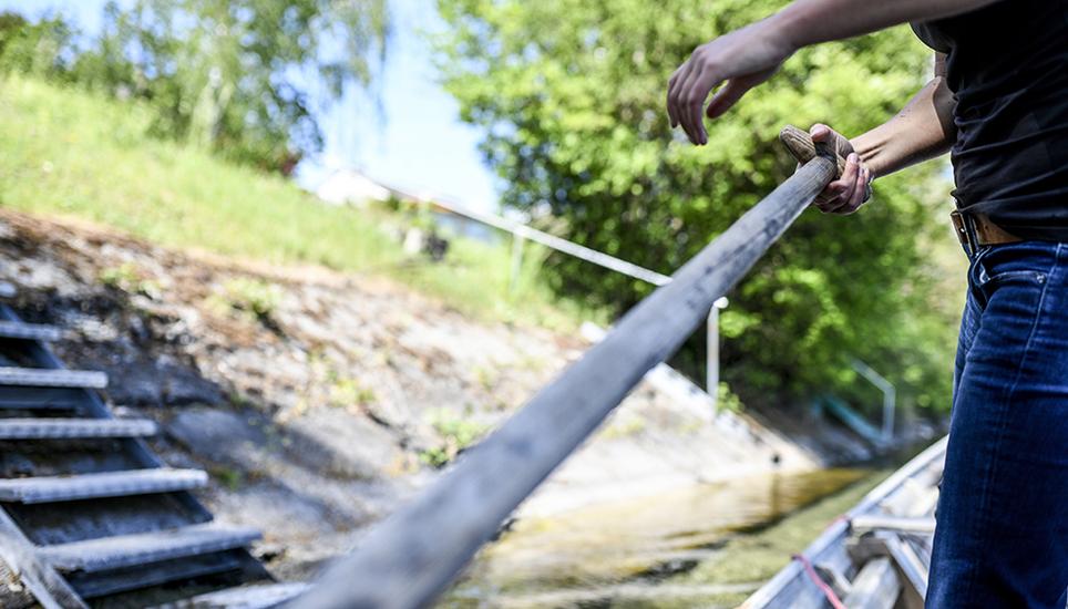 Belastung für die Arme: Das Manövrieren eines Weidlings erfordert viel Kraft. Bild: Melanie Duchene