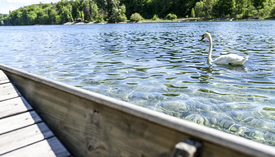 Nach dem anstrengenden Flussaufwärts-Stacheln wartet die Belohnung: Das gemächliche Abwärts-treiben-Lassen. Bild: Melanie Duchene