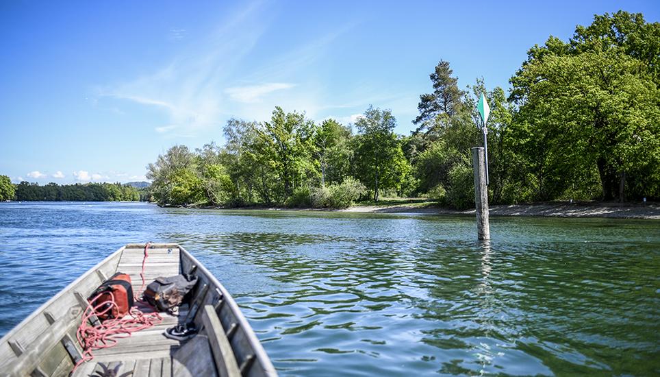 Der Schaffhauser Rhein – Ein Panorama der Natur. Bild: Melanie Duchene