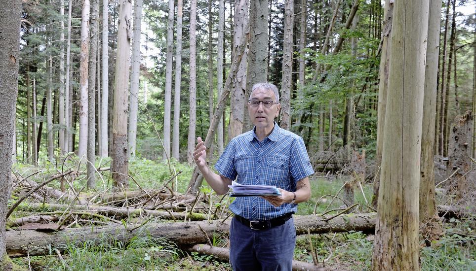 Kantonsförster Bruno Schmid im Waldgebiet Bröömle. Bild: Selwyn Hoffmann