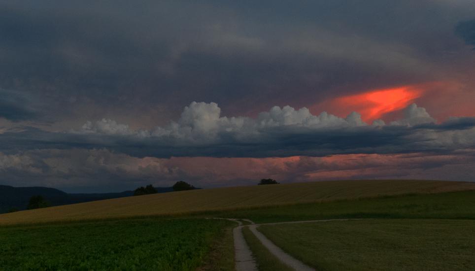 Was man bei diesen Aufnahmen kaum glauben kann. Bild: Theo Kübler
