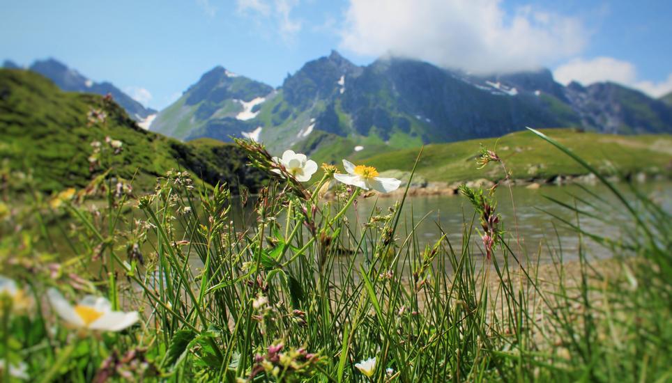Die Hütte gehört zur Sektion Randen des Schweizer Alpen-Clubs und ist damit in Schaffhauser Händen. Symbolbild: Radio Munot