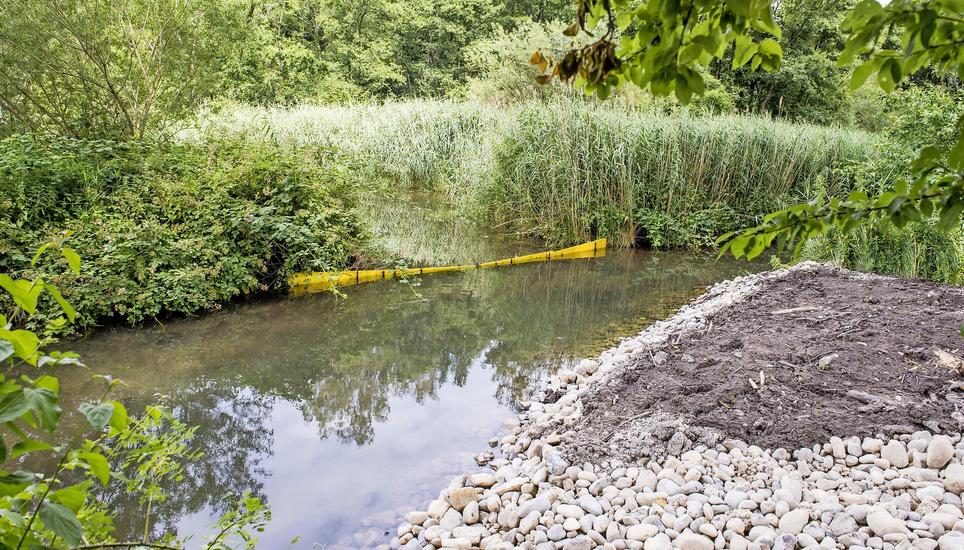 Der Petribach wurde verengt, damit er mehr Zug erhält und sein kaltes Wasser nicht rückgestaut wird.