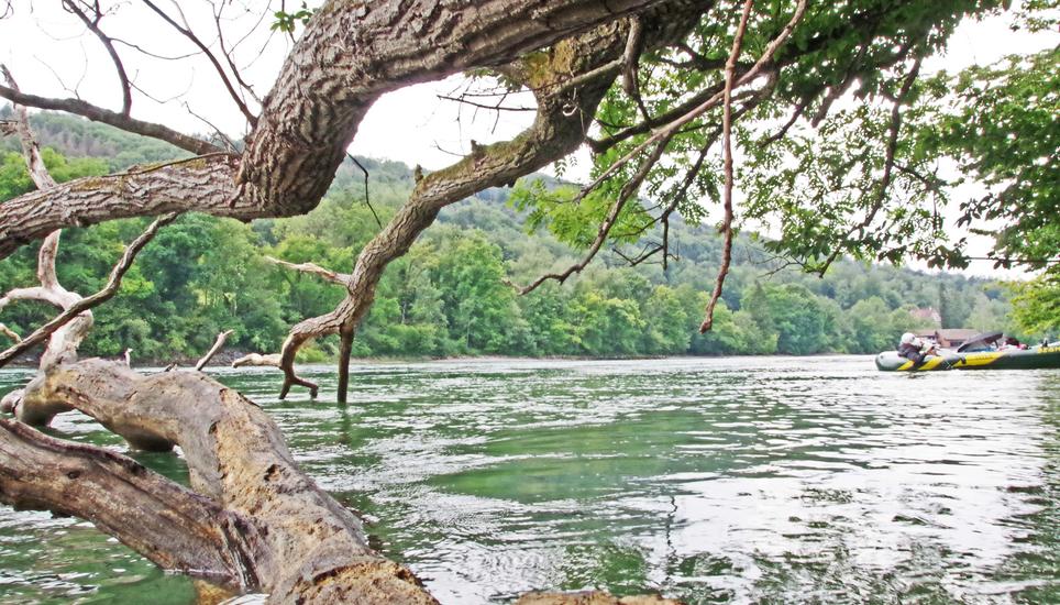 Seine wahre Schönheit offenbart der Rhein erst in der Einsamkeit.