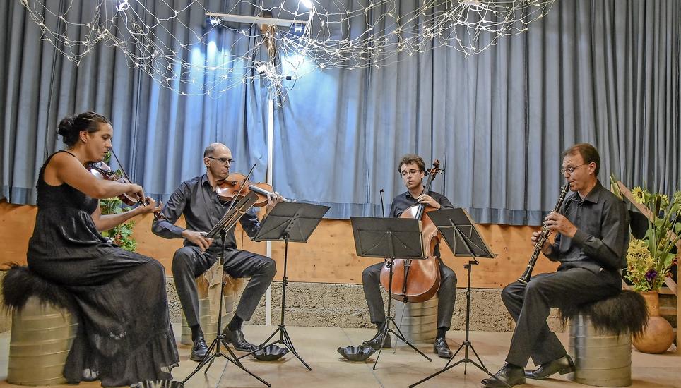 «Les Solistes de Berne» begeisterten das Publikum der ersten Sommerserenade in Rheinau. Bild: Hans-Caspar Ryser