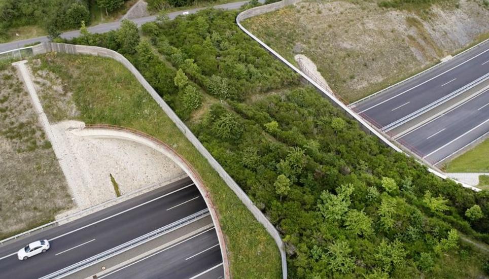 Eine Grünbrücke für Wildtiere in Rheinland-Pfalz über der Bundesstrasse B50. Bild: Key