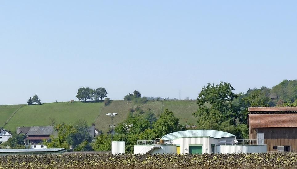 Bei der Kläranlage Rheinau (Bild) soll eine 5G-Mobilfunkantenne aufgestellt werden. Bild: Thomas Güntert