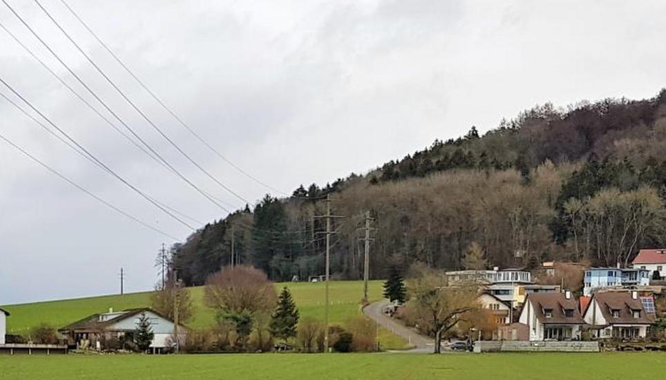 Die bestehende Freileitung neben Wilchingen wird in den Boden verlegt. Bild: zVg
