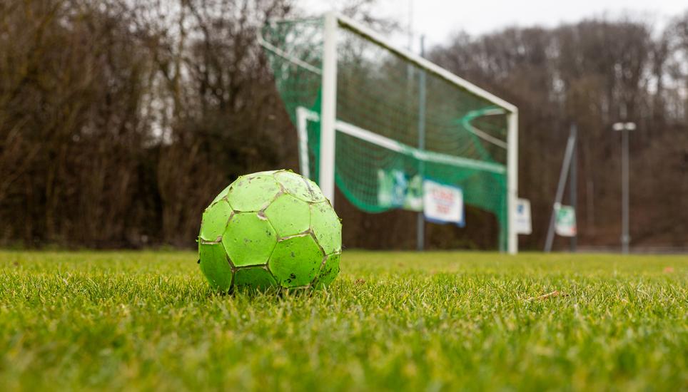 Die Sportredaktion berichtet über Herziges, Kurioses aus der Sportwelt. Symbolbild: Pixabay