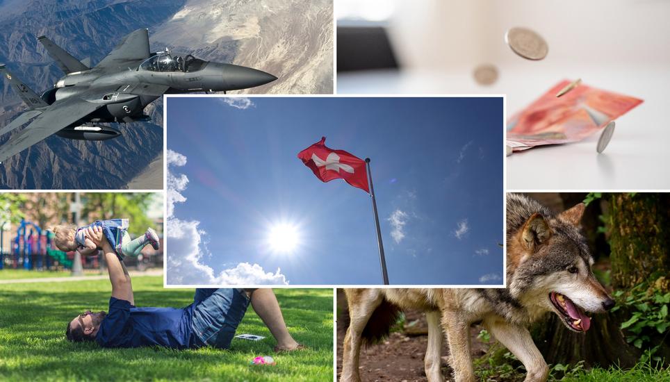 Fünf Abstimmungen stehen heute an. Bilder: Roberta Fele/Pixabay. Montage: OPP