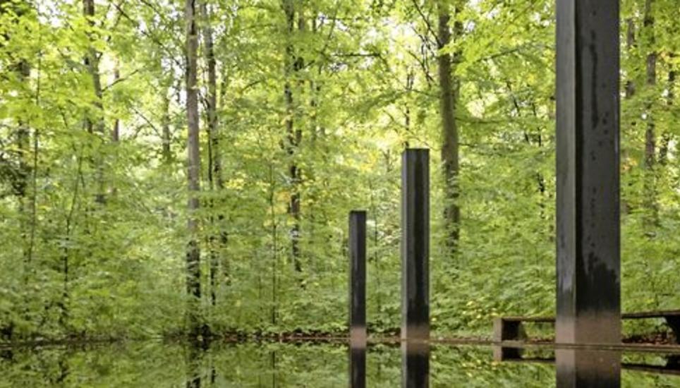 Wir können dem Leben sicher nicht mehr Tage geben, aber den verbleibenden Tagen mehr Leben schenken: Urnengrabstätte auf dem Schaffhauser Waldfriedhof, gestaltet von Brigitte Stadler und Roland Gut. Bild: Roberta Fele