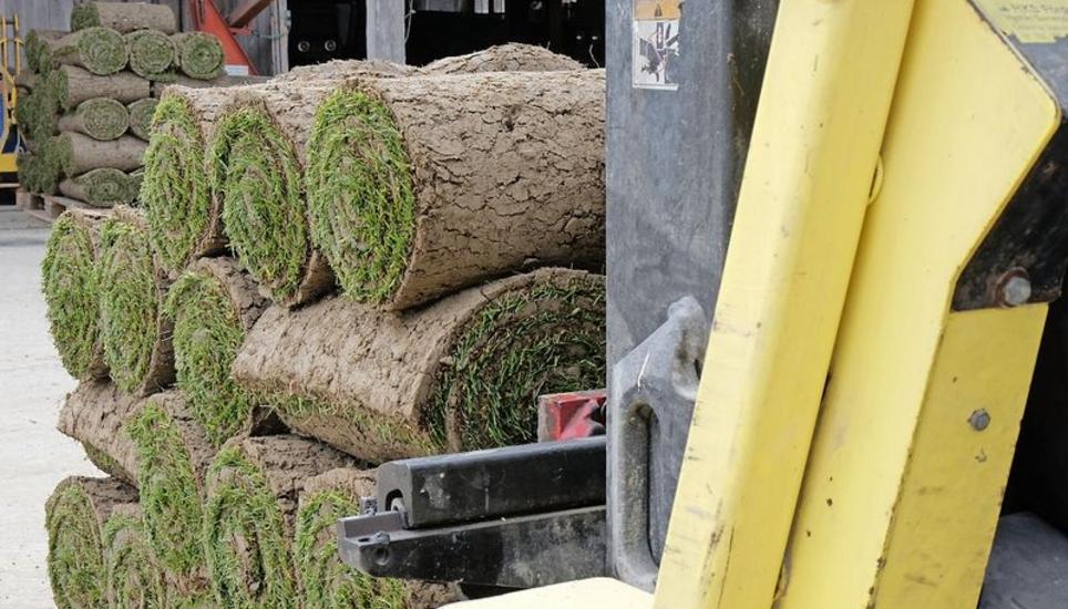 Rollrasen, auf Paletten bereit für den Abtransport/Weiterverlad.