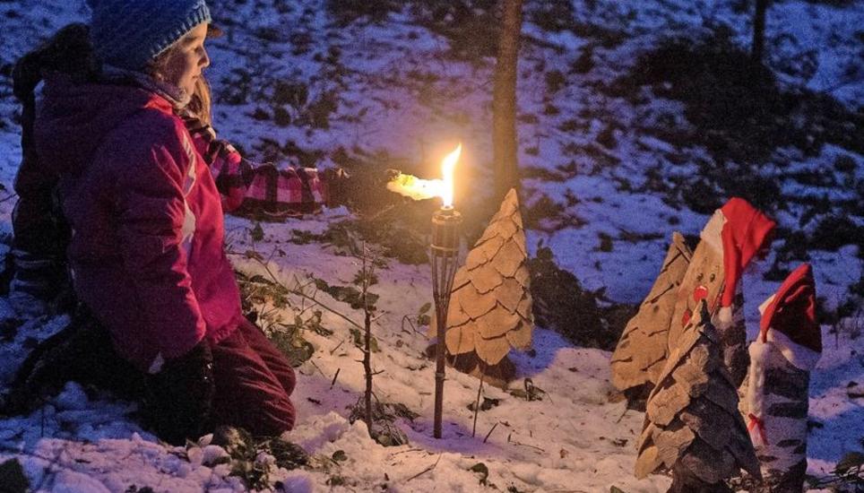 Damit die Weihnachten im Wald auch für die Natur zum Fest der Freude werden, braucht es Rücksicht und Respekt. Bild: Key