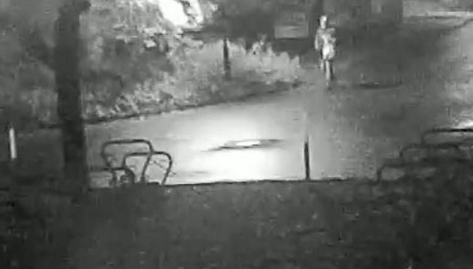 In den Aufzeichnungen einer Überwachungskamera ist der mutmassliche Brandstifter zu sehen. Bild: Screenshot aus Video (zVg)