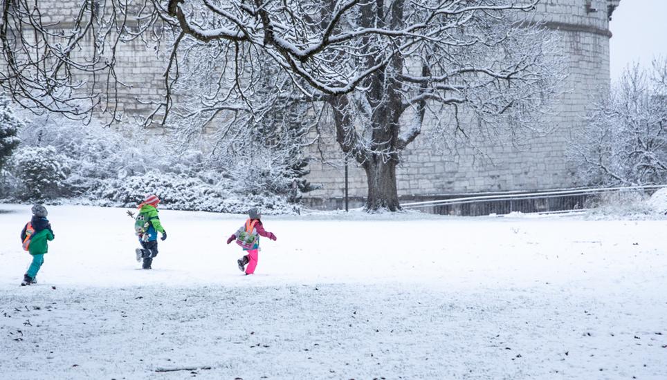 Und dann noch am 1. Dezember – es schneit in Schaffhausen. Bild: Roberta Fele