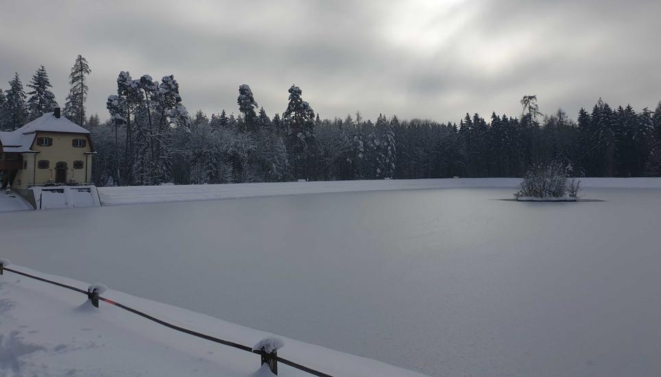 Am Samstag war eine dünne Eisschicht auf dem Engeweiher zu entdecken. Bild: Larissa Maruna