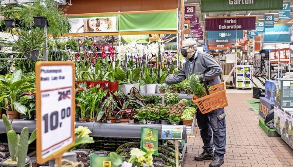 Im Obi Markt Schaffhausen sind die Indoorpflanzen zurzeit sehr beliebt. Bild: Melanie Duchene