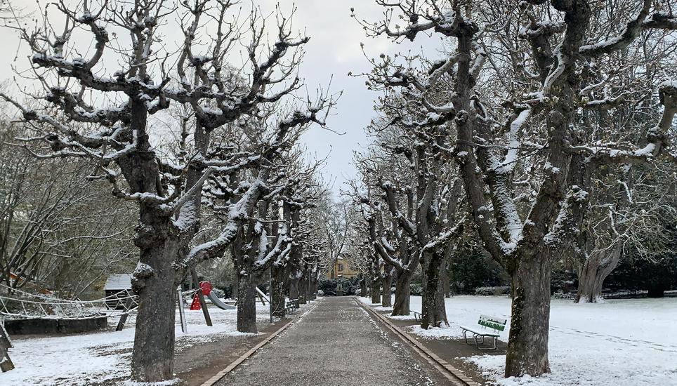 Aber «April, April, der macht bekanntlich, was er will». Bild: Dario Muffler