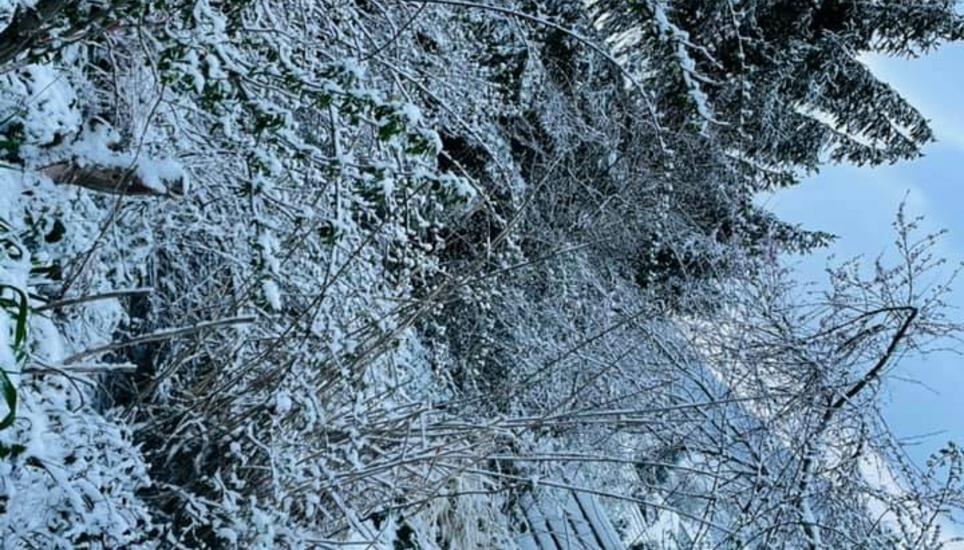 Hier hat Frau Holle zünftig Betten geschüttelt. Bild: Rosetta Lelapi