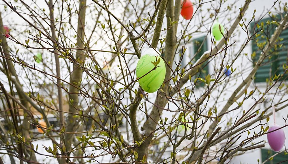 Die Osterdeko hängt noch. Jetzt bepudert mit einem Hauch von Schnee. Bild: Melanie Duchene