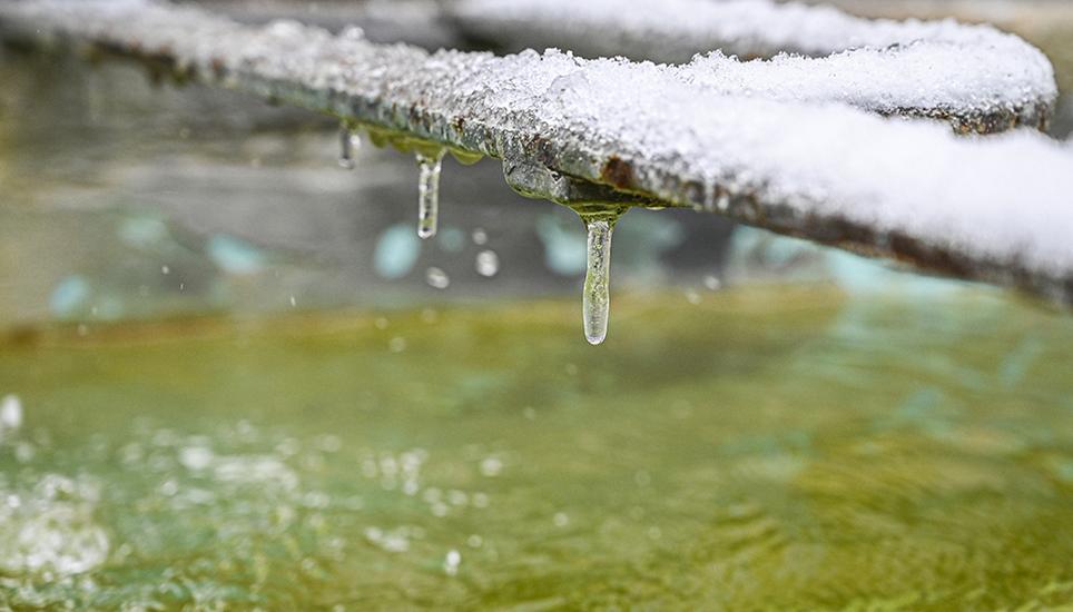 Ein weisses Häubchen hat es auch auf den Brunnen an der Brunnengasse. Bild: Melanie Duchene