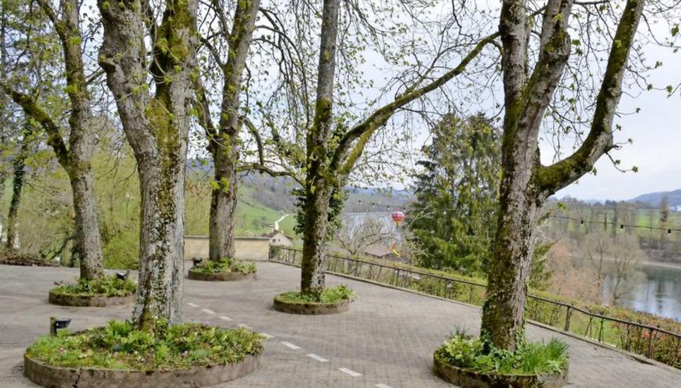 Der Garten des «Waldheims» bei Büsingen bietet einen weiten Blick über den Rhein. Die gestrichelte Linie markiert die Landesgrenze Deutschland/Schweiz. Bild: Alfred Wüger