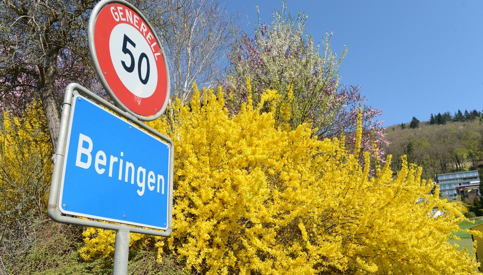 Die Klettgau-Gemeinde hat viel vor.