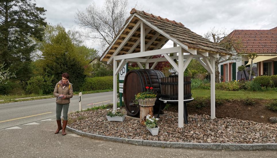 Schönere Dorfeinfahrt in Hallau. Bild: Radio Munot