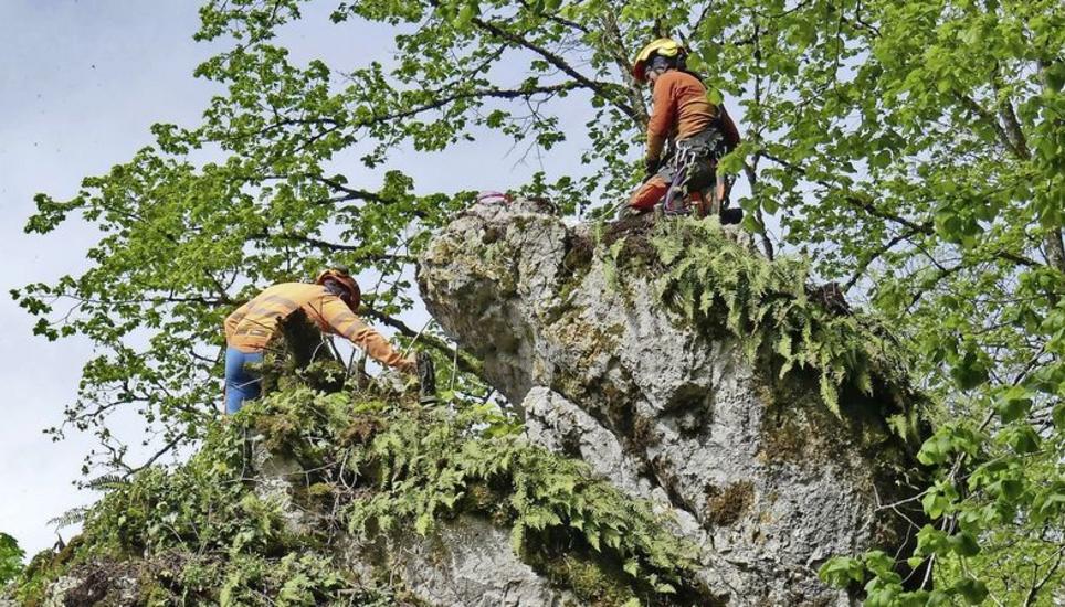 Spezialisten bereiten die Sprengung oben auf der Felsnase vor. Bild: Theo Kübler