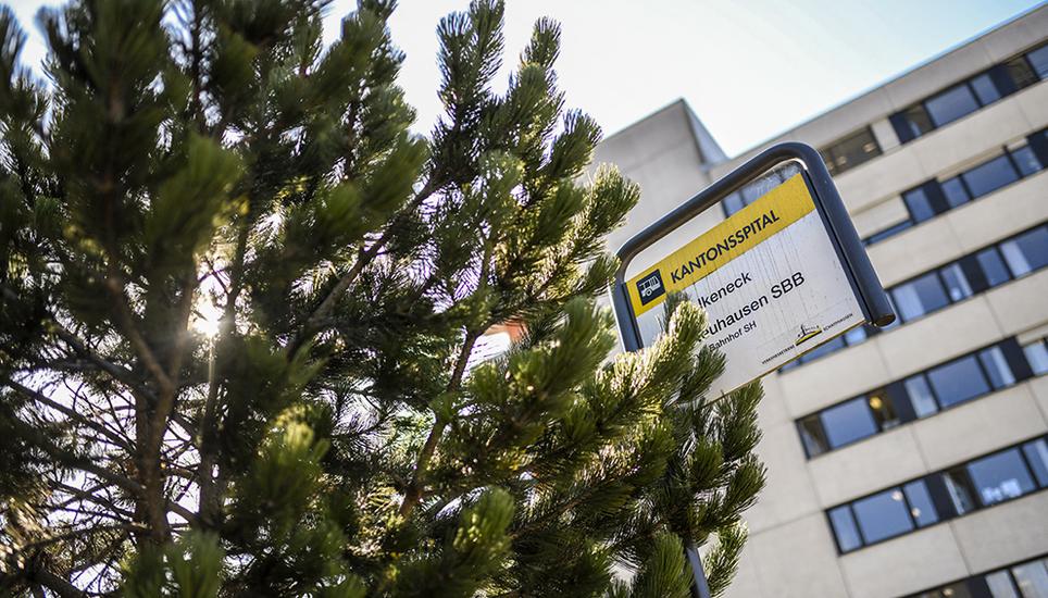 Die Sammelklage soll im November realisiert werden. Bild. Melanie Duchene