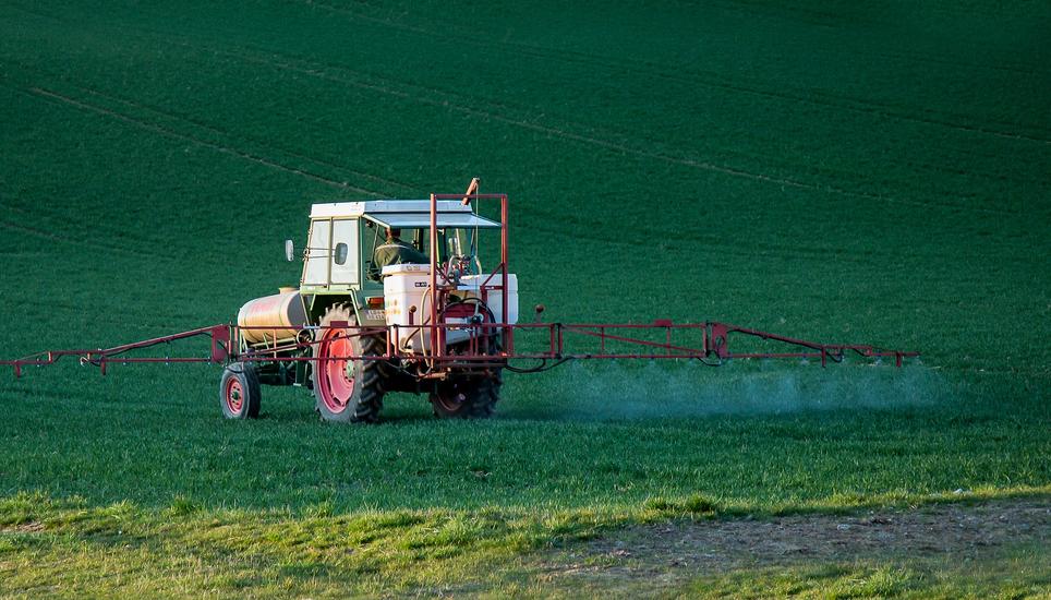 Die Pestizidinitiative ist gescheitert und wird somit keinen Einfluss auf die landwirtschaftlichen Betriebe der Schweiz haben. Symbolbild: Pixabay