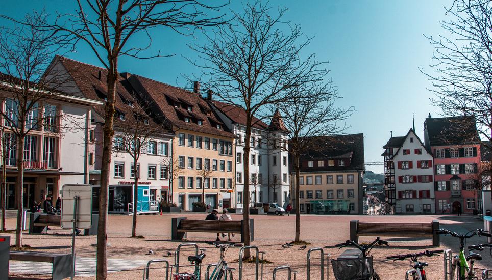 Nun soll der Stadtrat prüfen, ob die Stadt Schaffhausen vollständig ohne synthetische Pestizide und chlorhaltige Reinigungsmittel auskommt. Bild: SN-Archiv