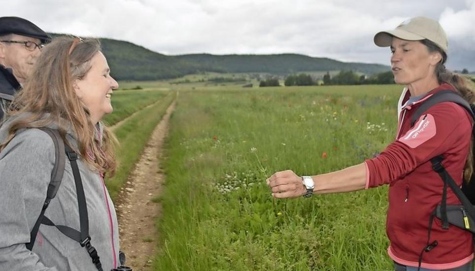 Gabi Uehlinger (r.) entdeckte und erklärte bei der Exkursion zahlreiche botanische Highlights. Bild: Thomas Güntert