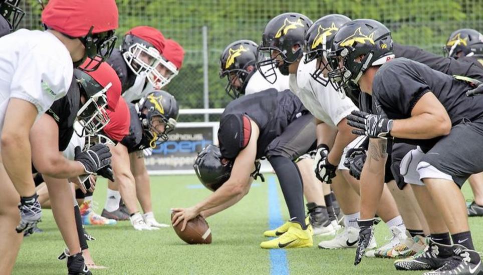Die Schaffhausen Sharks im Trainingscamp in Böblingen: Feinschliff für die Saison. Bild: Bedia Simon Tschudi