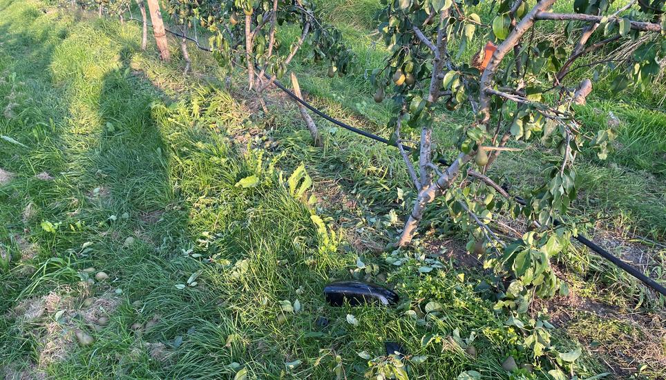 Trotz der Kollision blieb die Frau unverletzt. Bild: Kapo Thurgau