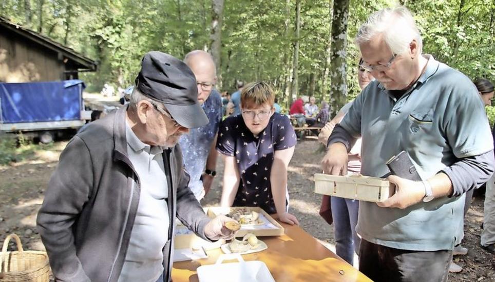 Pilzkontrolleur Alois Schwab (l.) gab den Teilnehmern wertvolle Tipps und Ratschläge zu den von ihnen gefundenen Pilzen mit auf den Weg. Bild: Roland Müller