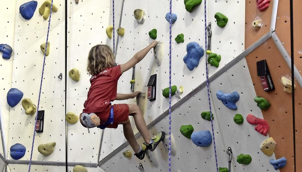 Hoch hinaus kletterten die Kids – und sammelten dadurch fleissig Geld. Bild: Pascal Oesch